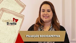 Explica Direito Filiação Socioafetiva  2019 [upl. by Victoria]